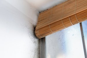 Moisissure et salpêtre sont le signe d'une mauvaise ventilation. (© zlikovec - Fotolia.com)